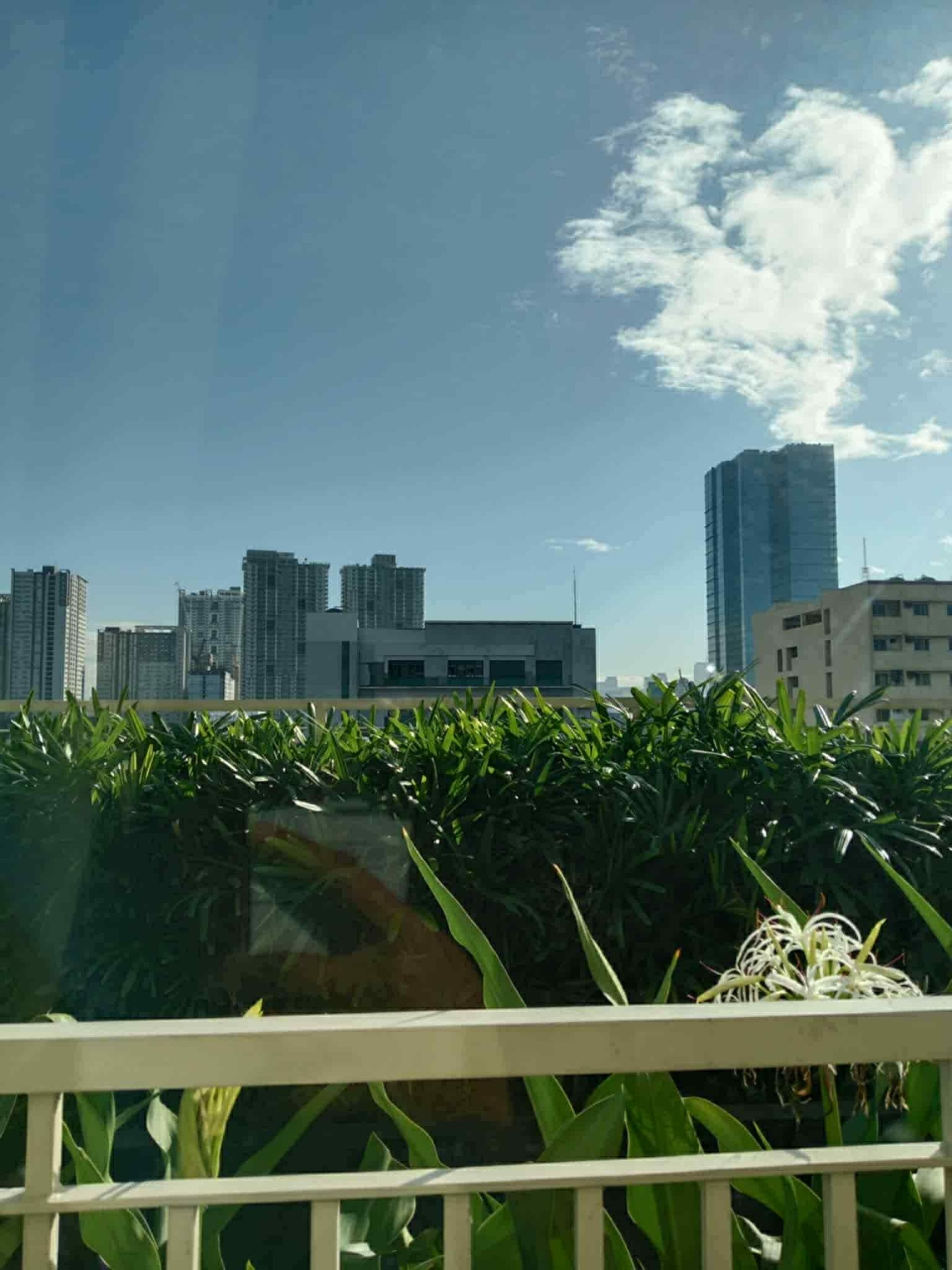 Une vue sur un paysage urbain avec de hauts immeubles et un ciel dégagé.