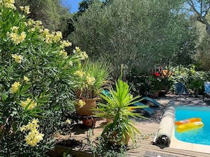 Pool - Spacious Provençal Villa with Private Pool and Mediterranean Garden (La Seyne-sur-Mer)