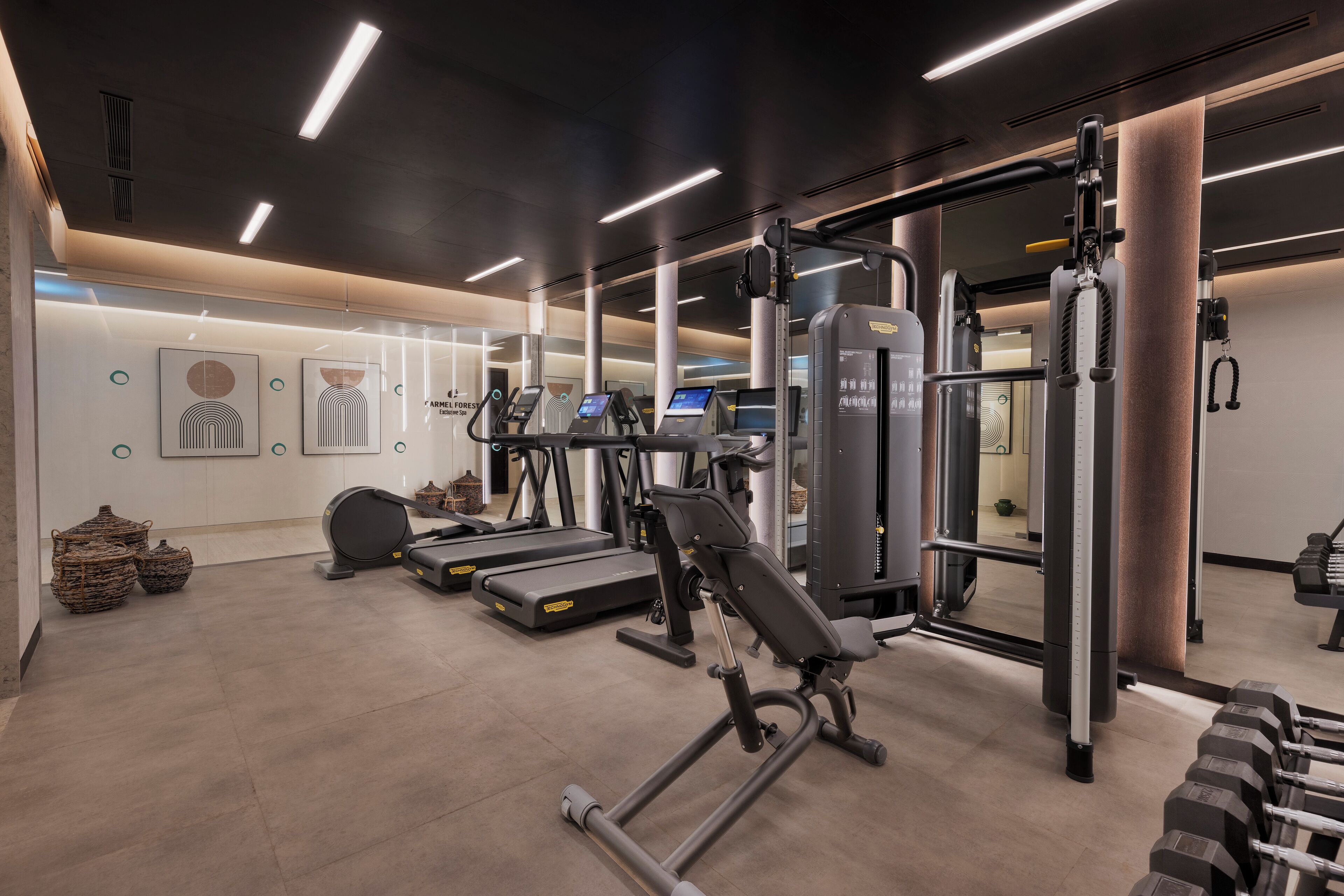 Un gimnasio moderno con cintas de correr, máquinas de pesas y pesas sueltas.
