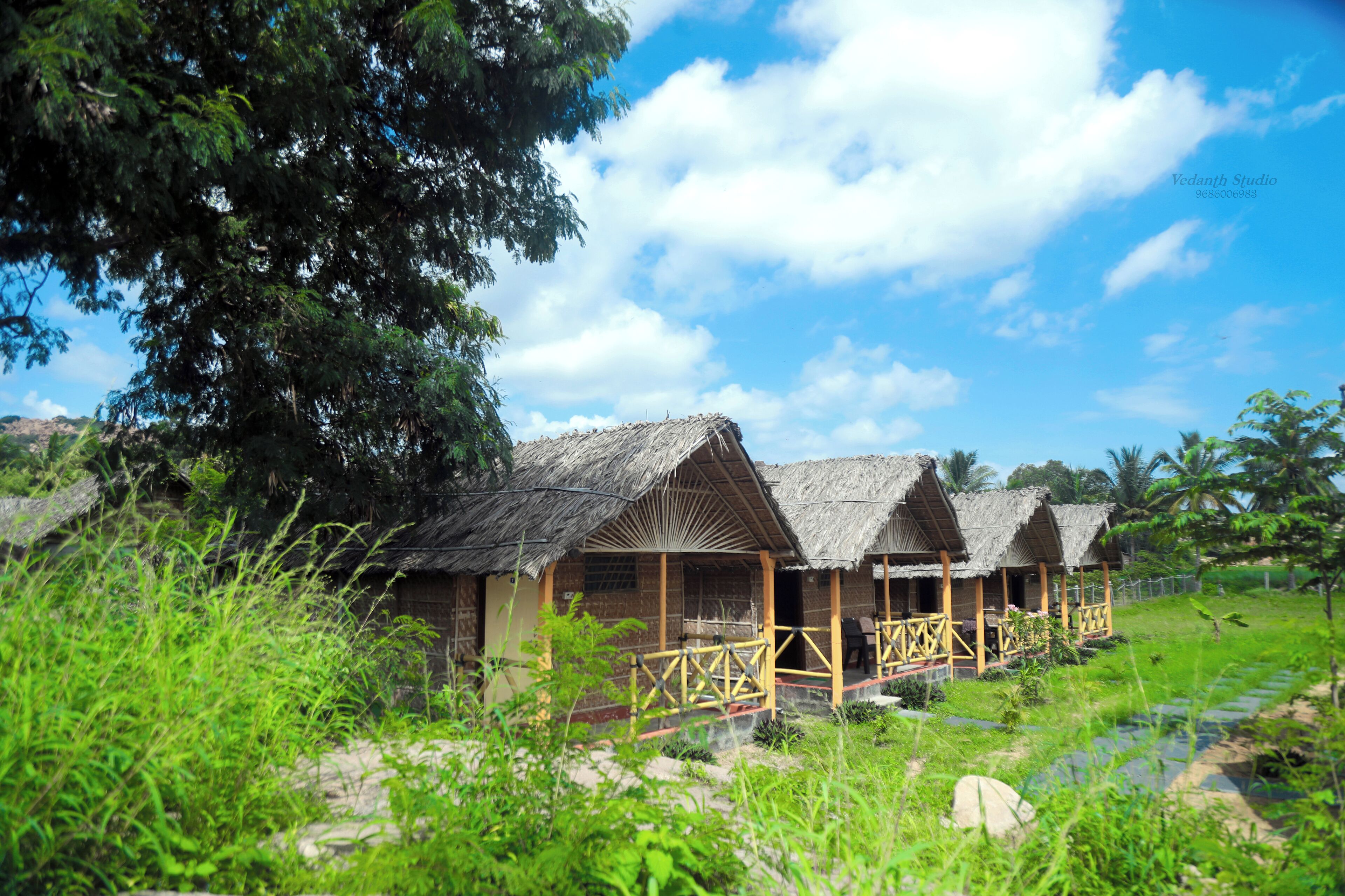 Una hilera de cabañas con techo de paja y barandillas de madera, en un paisaje verde y exuberante.
