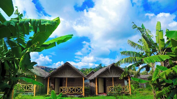 A row of thatched-roof cottages with wooden railings, surrounded by lush greenery and banana trees. - Shanthi Dhama Resort (Koppal)