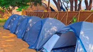 Zelt | Kostenloses WLAN