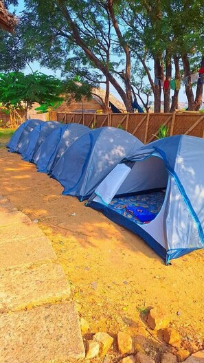 Tält | Gratis wi-fi