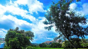 A rural landscape with a large tree, a fence, and a blue water tank in the background. - Shanthi Dhama Resort (Koppal)