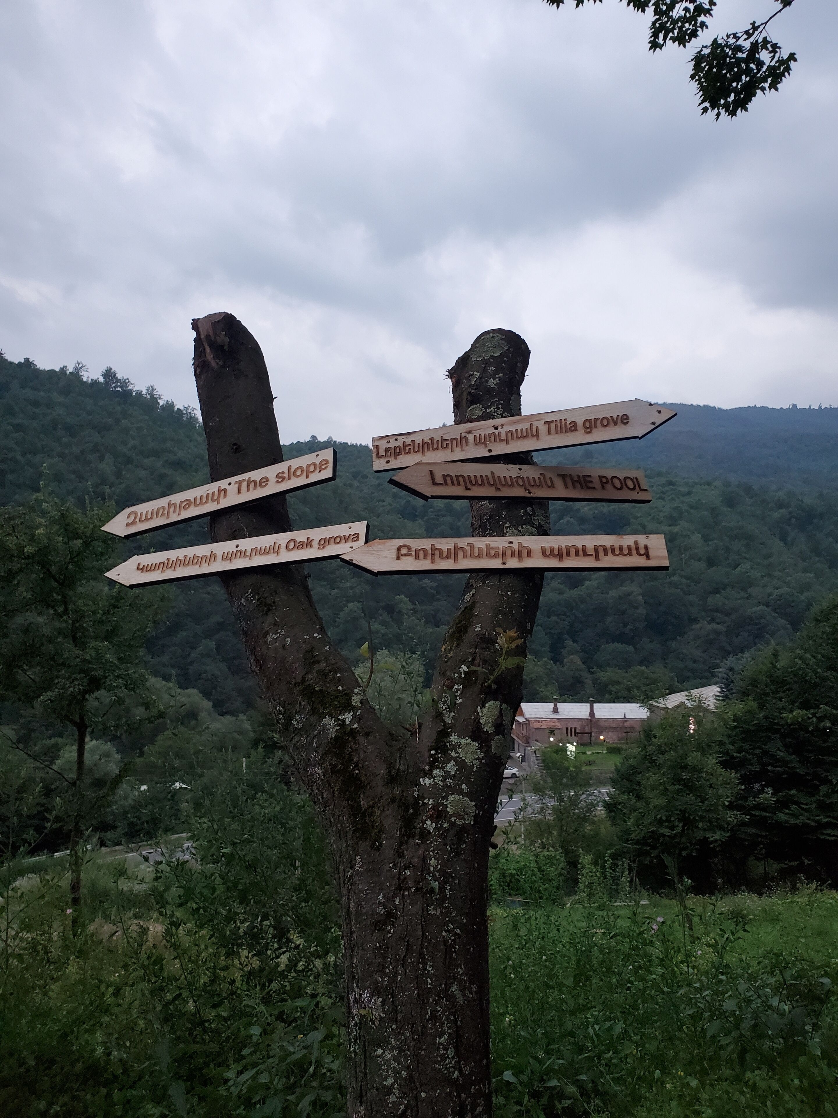A wooden signpost with multiple directional arrows pointing to various locations such as 'The Slope', 'The Pool', and 'Oak Grove'.
