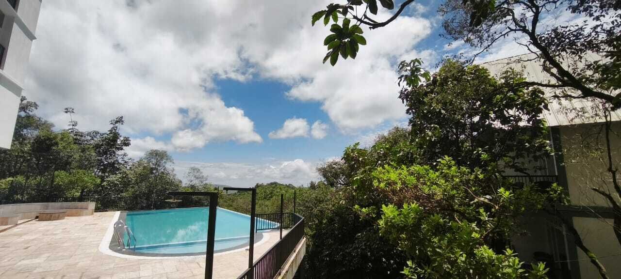 A swimming pool surrounded by lush greenery and a clear sky.