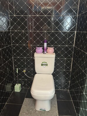 Shower, soap, toilet paper