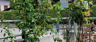 Fewe vacation apartment hiking and skiing