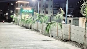 A building with a sign for "Lodging" at night, surrounded by palm trees and streetlights. - Aatithya Residency (Rajgurunagar)