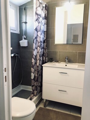 Shower, hair dryer, toilet paper