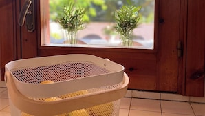 Un panier rempli de citrons est placé devant une porte en bois ornée d’un rideau en dentelle et d’une fenêtre où sont disposées des plantes.