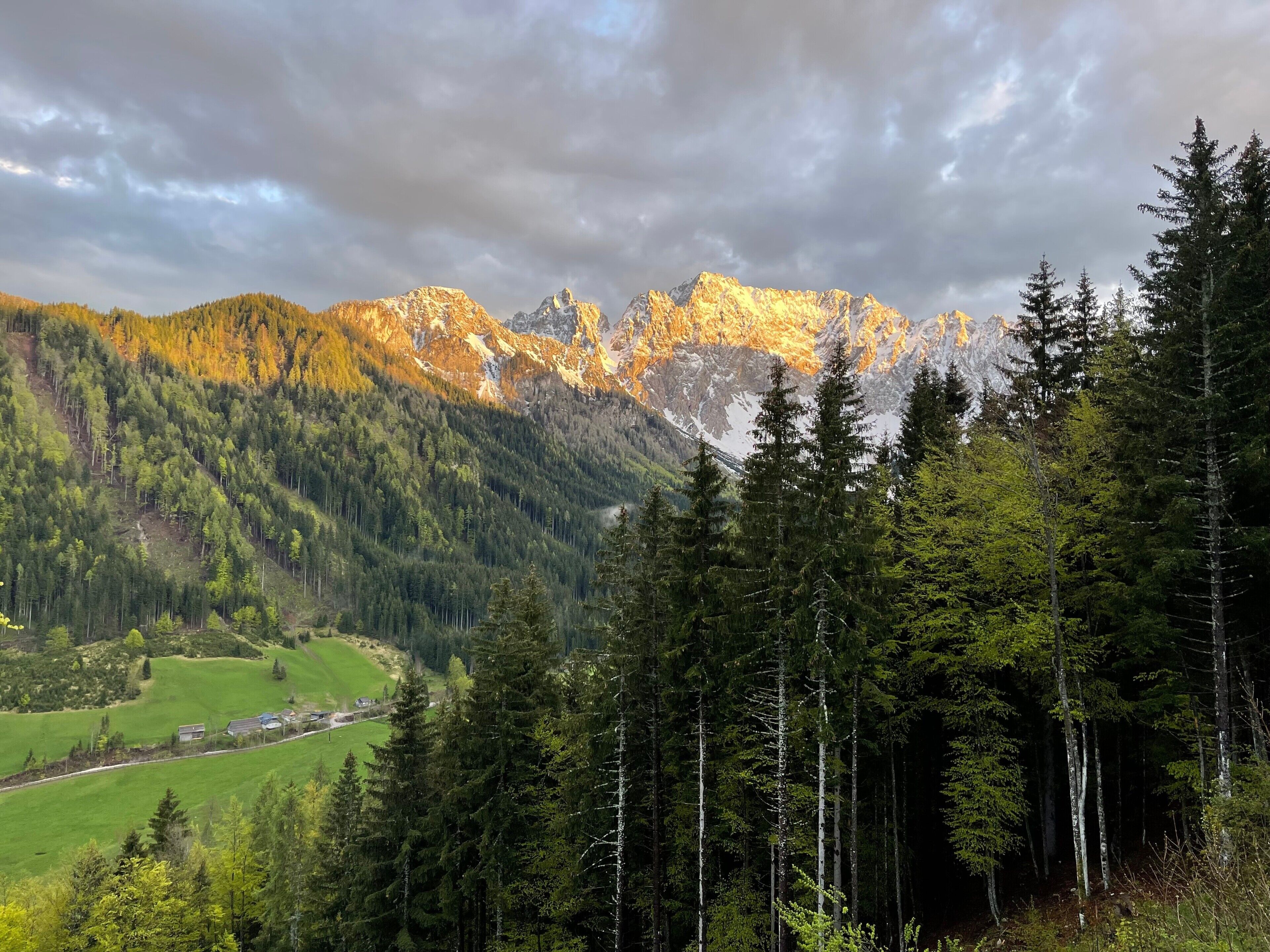 Un paisaje montañoso con bosques densos y un valle.
