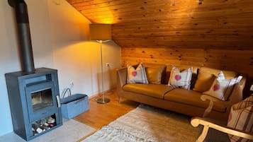TV, fireplace, video games