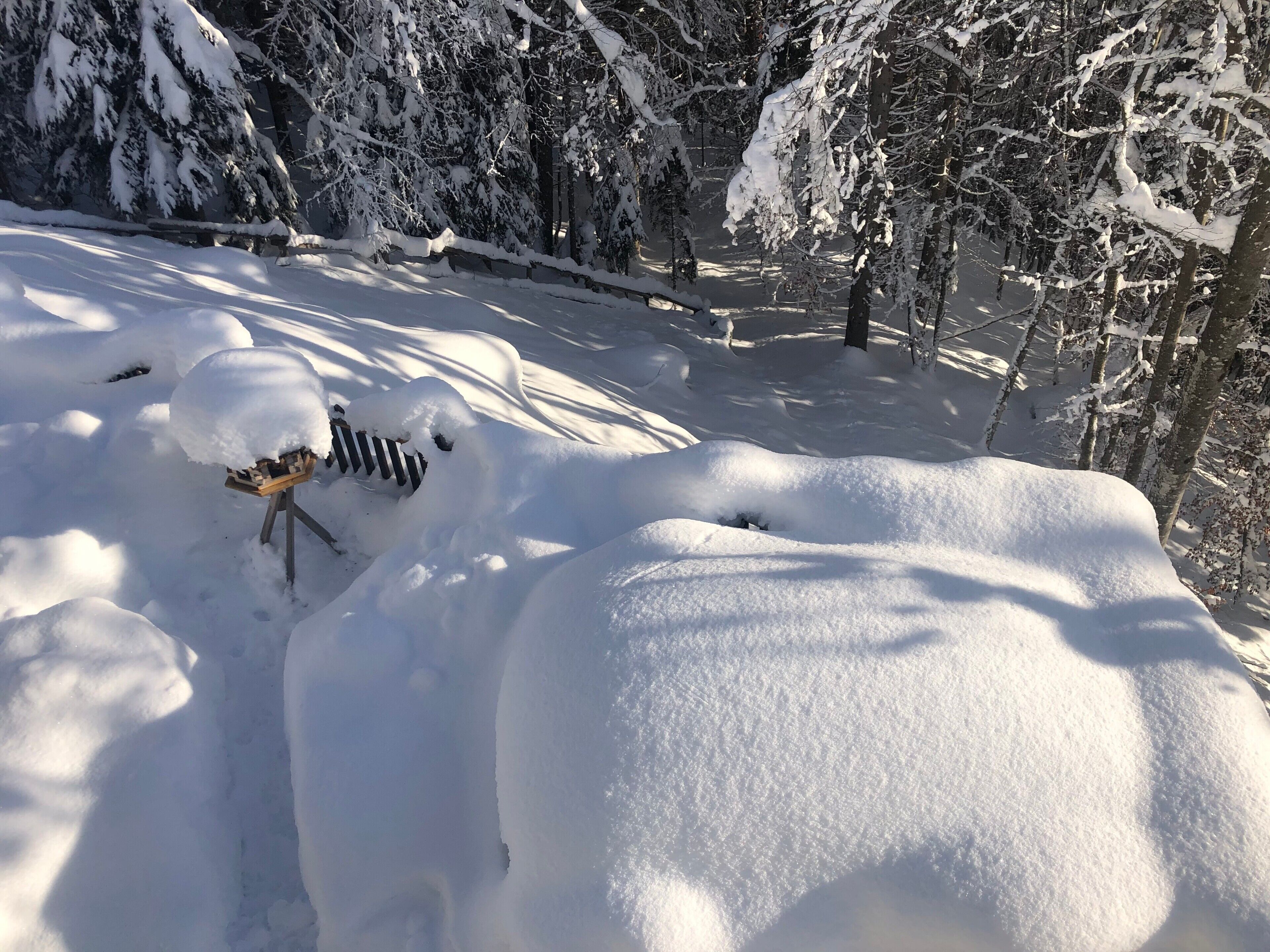 A snow-covered landscape with trees and a snow-covered object in the foreground.