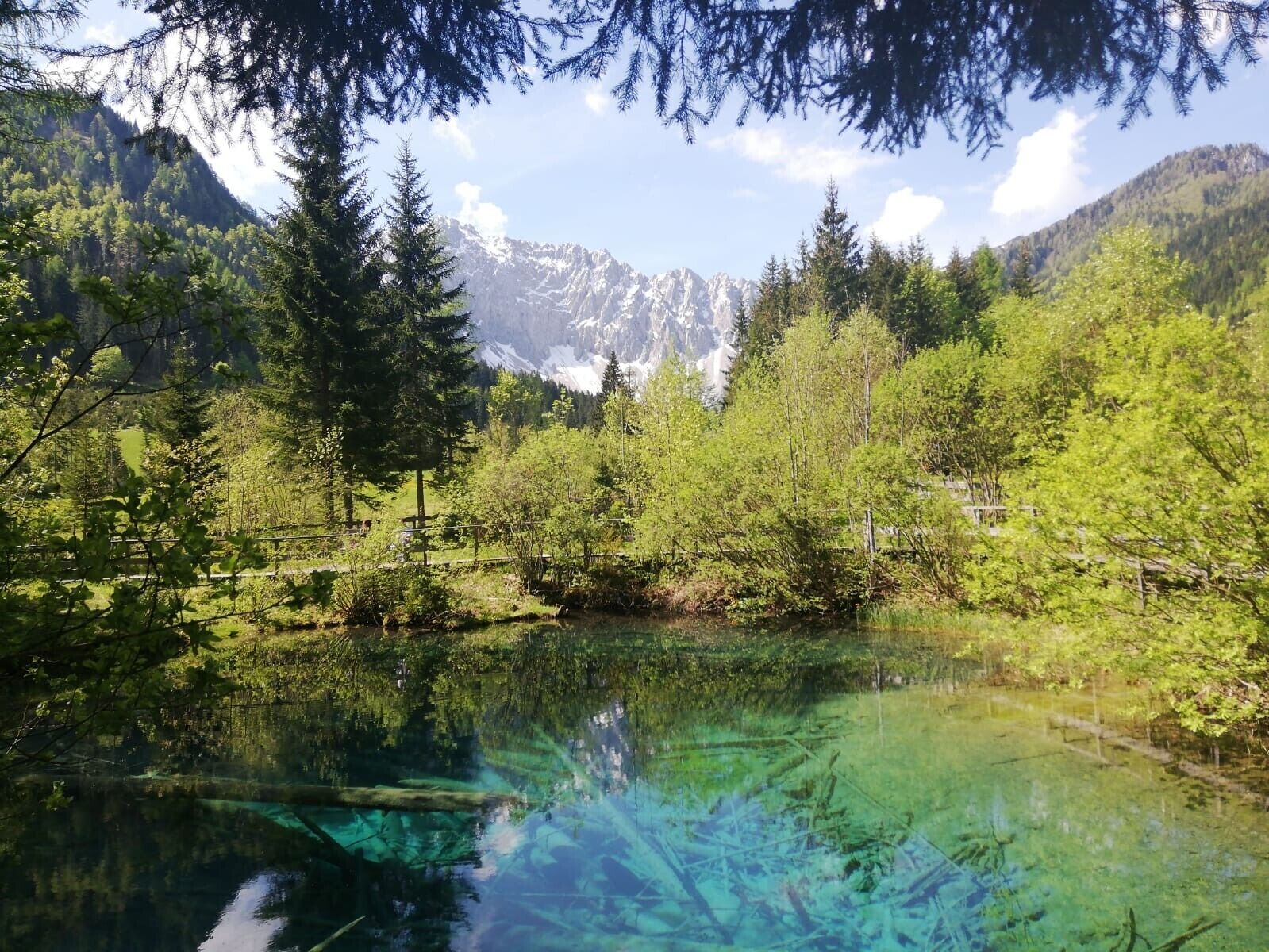 A serene mountain lake surrounded by dense forest and snow-capped peaks.