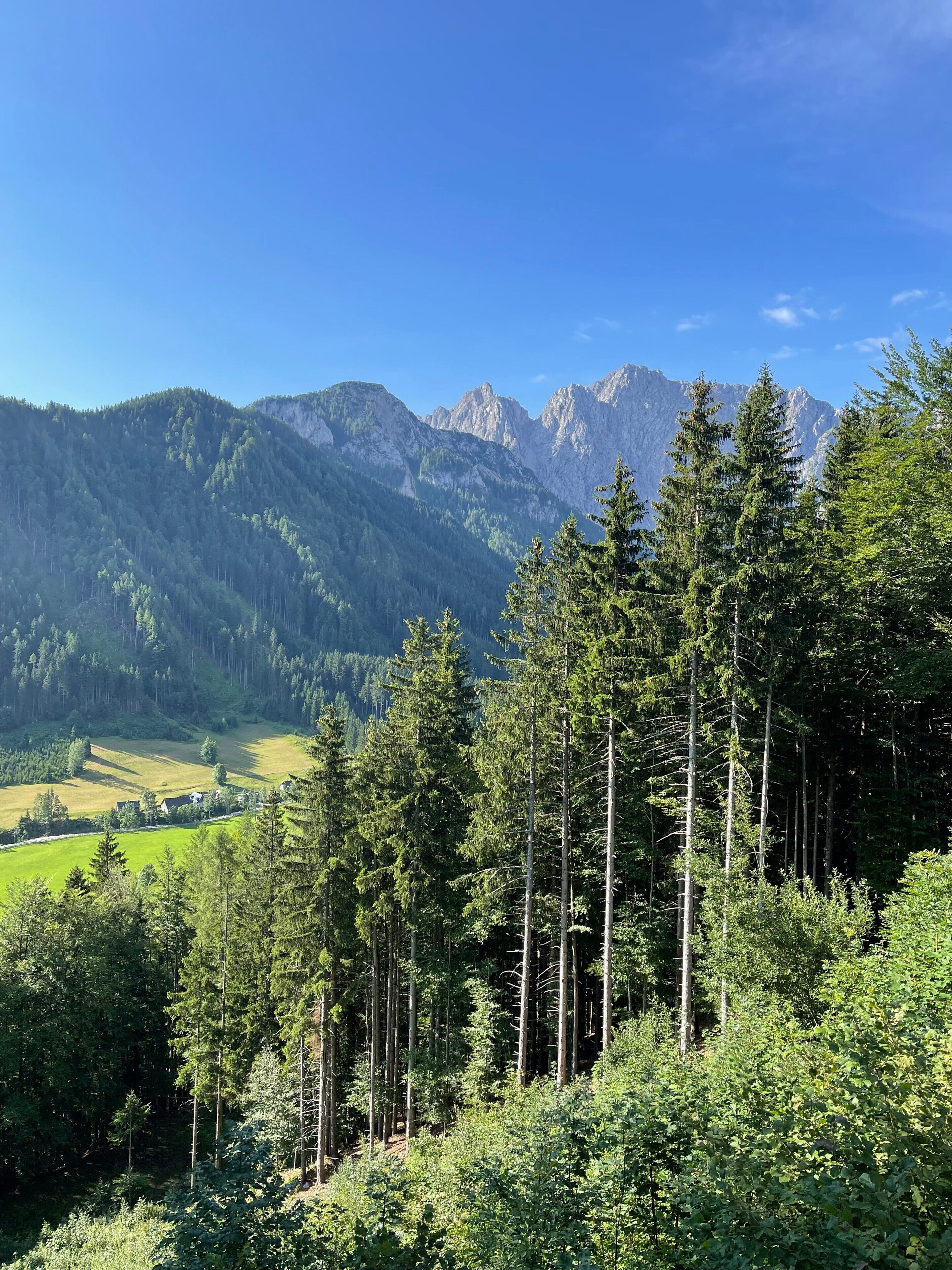 Een bergachtig landschap met dichte bossen en een heldere lucht.