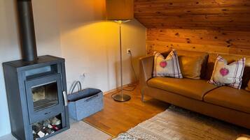 TV, fireplace, video games