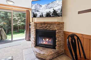 Interior - Shamrock 74 Pet Friendly Fireplace Parking WiFi (Snowshoe)