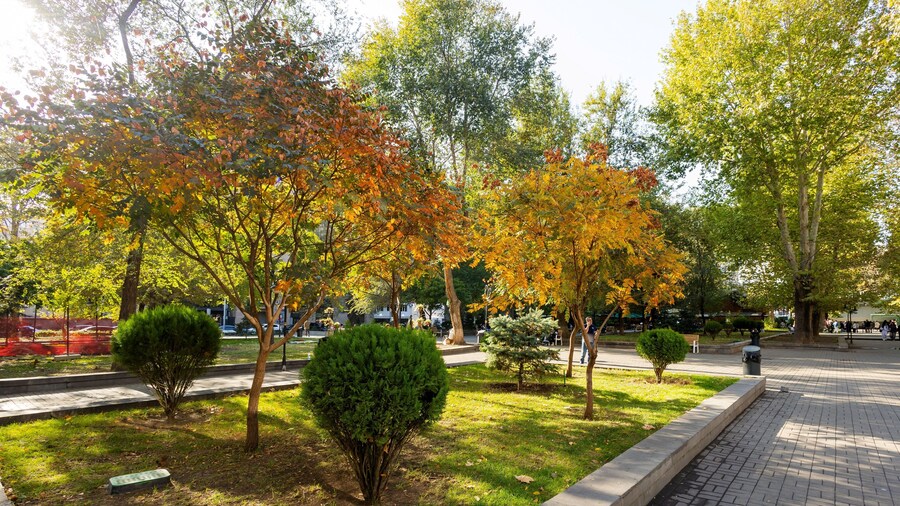 Apartment by Luxe Group DI888