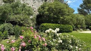 A garden with flowering bushes and a rocky cliff. - Escape to Elegance -Wonderful Mas Provencal in the heart of the Alpilles (Saint Etienne du Grés)