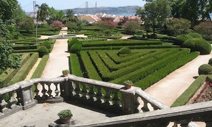 المنطقة المحيطة بالمنشأة