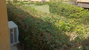 A view of a residential area with multiple buildings, a well-maintained garden, and a thatched structure.
