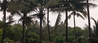 Rivaba Resort by White Villa Goa