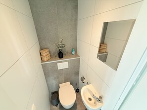 Een kleine badkamer met toilet, wastafel en spiegel.