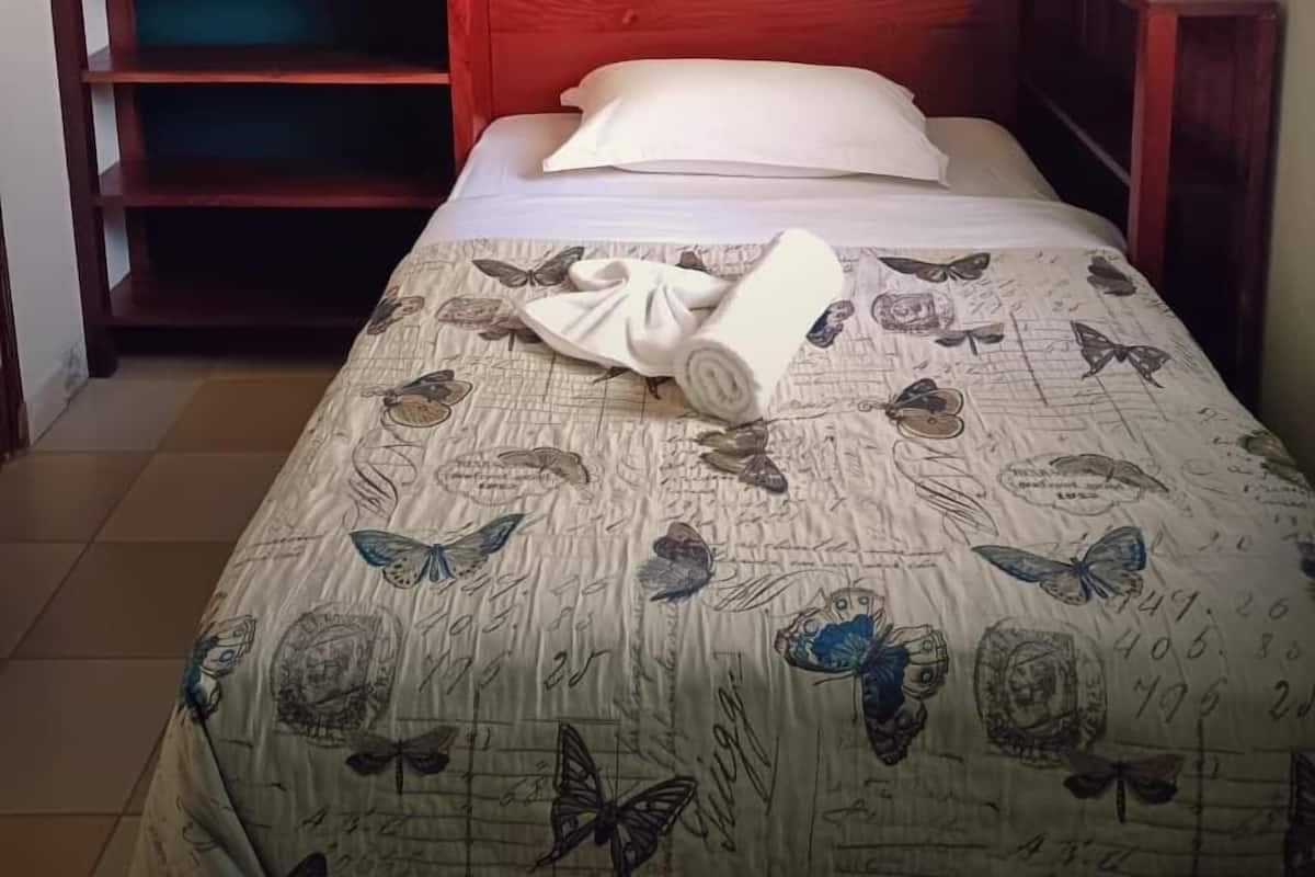 基础单人房 | 特色装修、笔记本电脑工作区、免费 WiFi