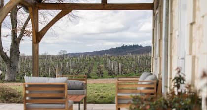 House in the heart of the vineyards - Swimming pool & Sauna