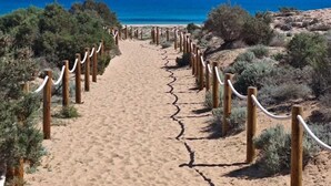 Un sendero arenoso en la playa con postes y cuerdas de madera, que conduce al océano.