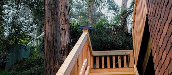 Relaxing Dandenong Ranges forest haven, near beautiful hikes and small towns