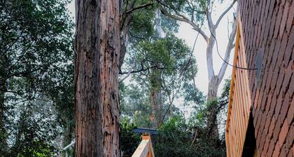 Relaxing Dandenong Ranges forest haven, near beautiful hikes and small towns