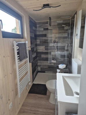 Shower, hair dryer, towels, toilet paper