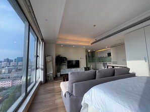 Panoramic Studio Suite