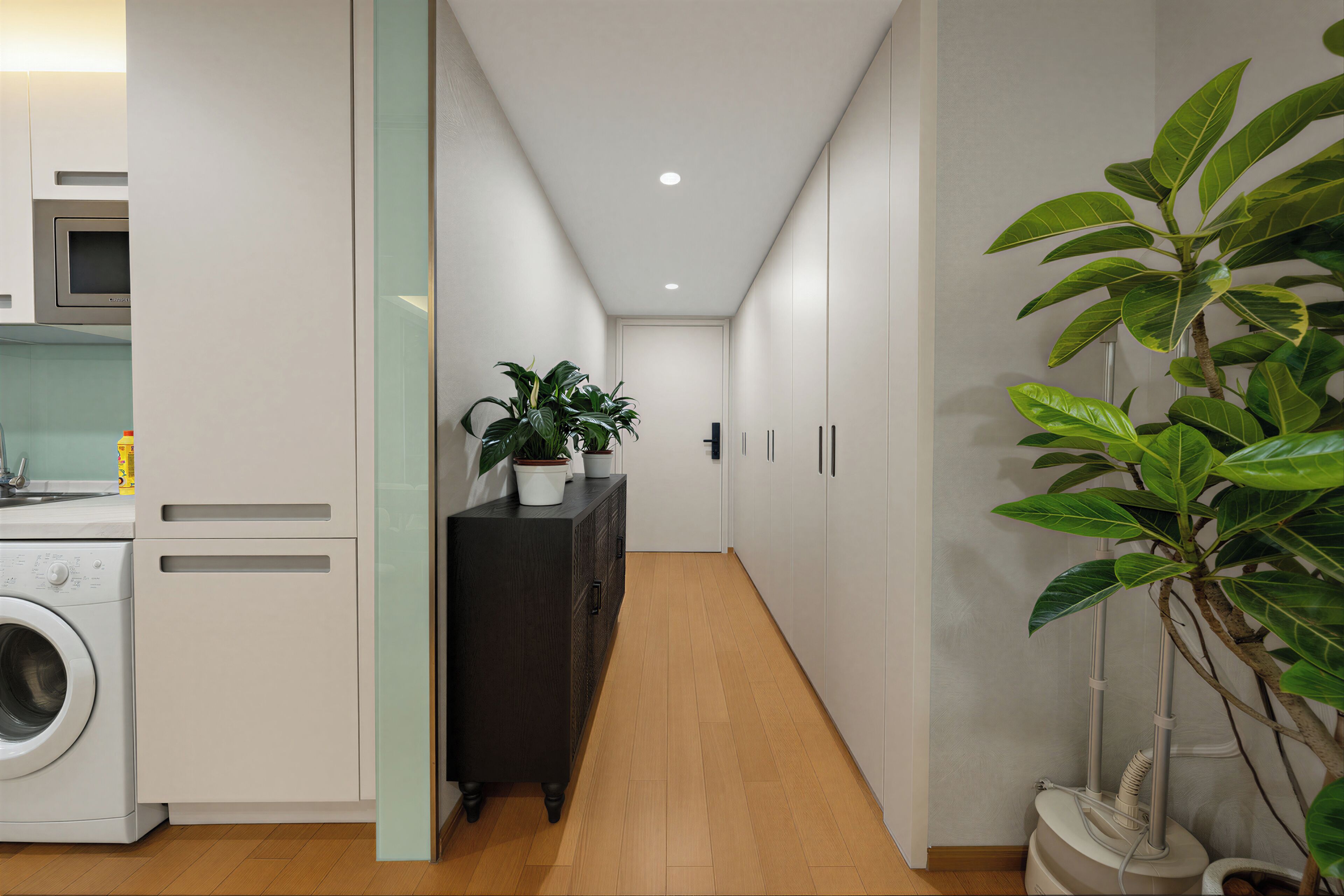 A modern kitchen with a washing machine, a dark cabinet, and a potted plant.