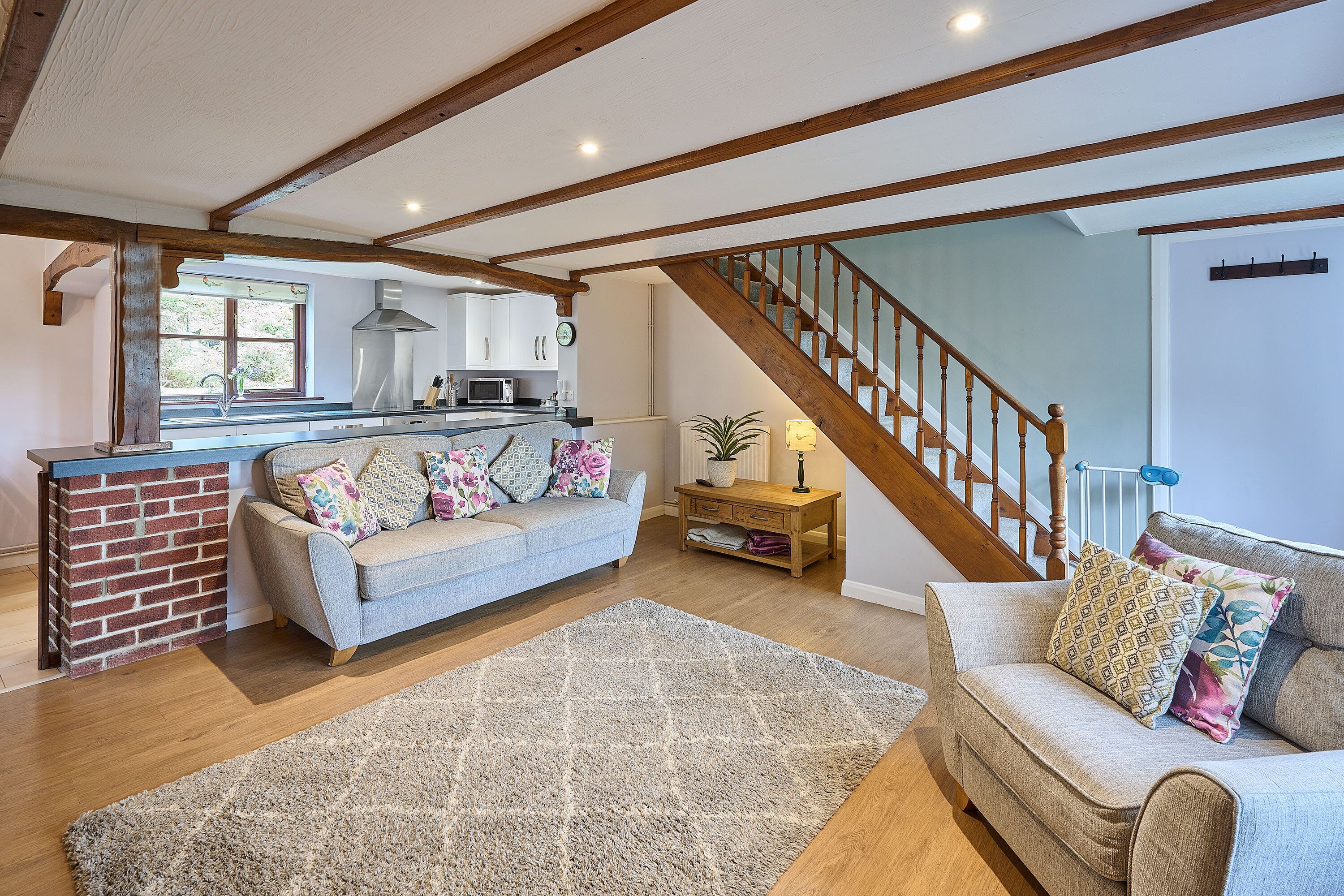 Televisor, llar de foc i oficines 