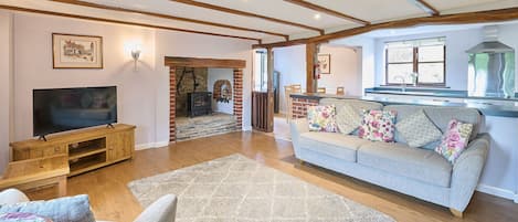 Televisio, takka, työhuone