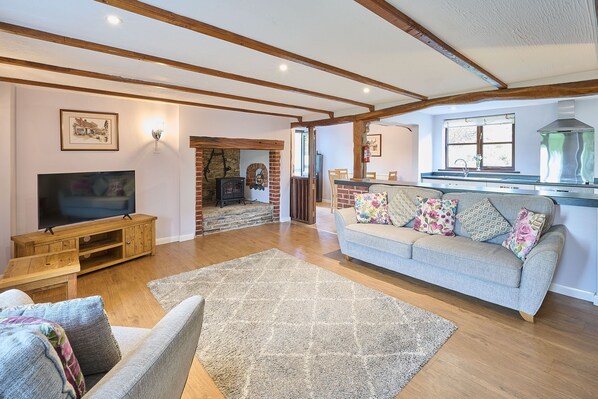 Télévision, cheminée, espaces bureaux