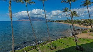 A coastal view with palm trees, a beach, and a mountain in the distance.