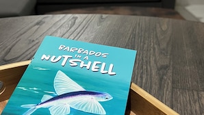 A book titled "Barbados in a Nutshell" on a wooden tray.