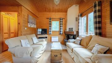 Télévision, cheminée, jeux vidéo, lecteur de DVD