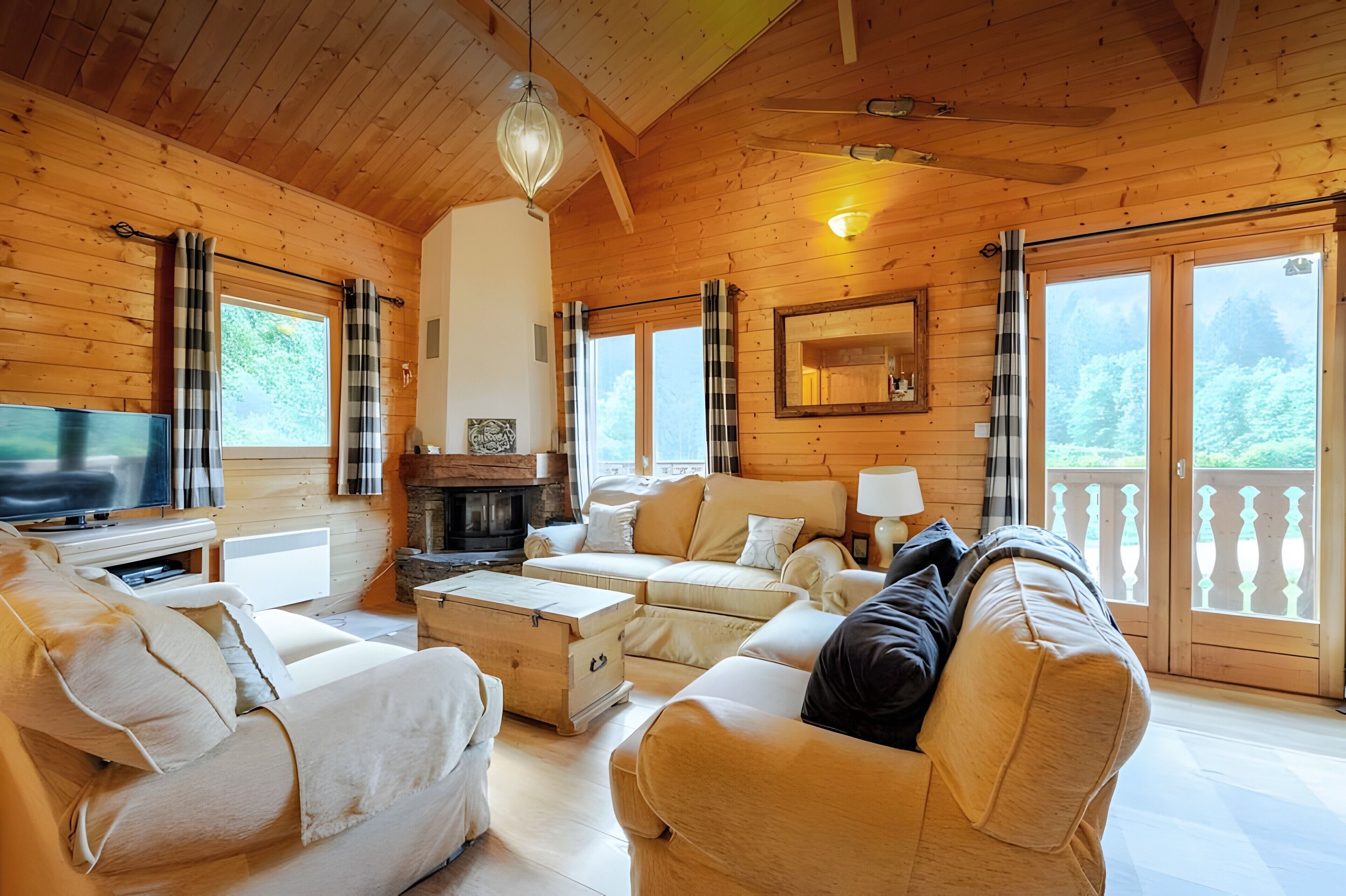 Télévision, cheminée, jeux vidéo, lecteur de DVD