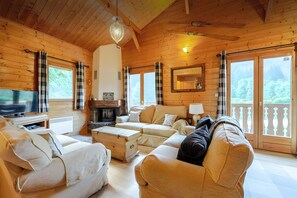 Télévision, cheminée, jeux vidéo, lecteur de DVD