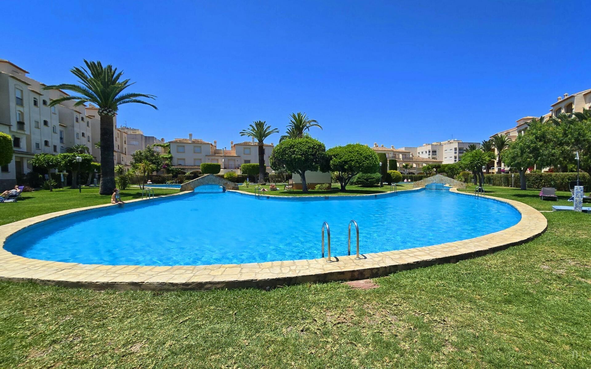 A swimming pool with a stone border, surrounded by grass and palm trees, with buildings in the background.