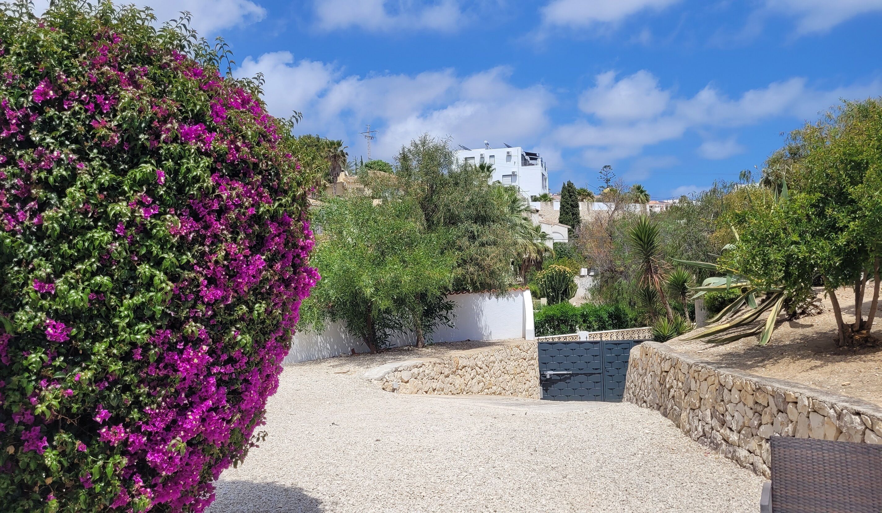 Jardines del alojamiento