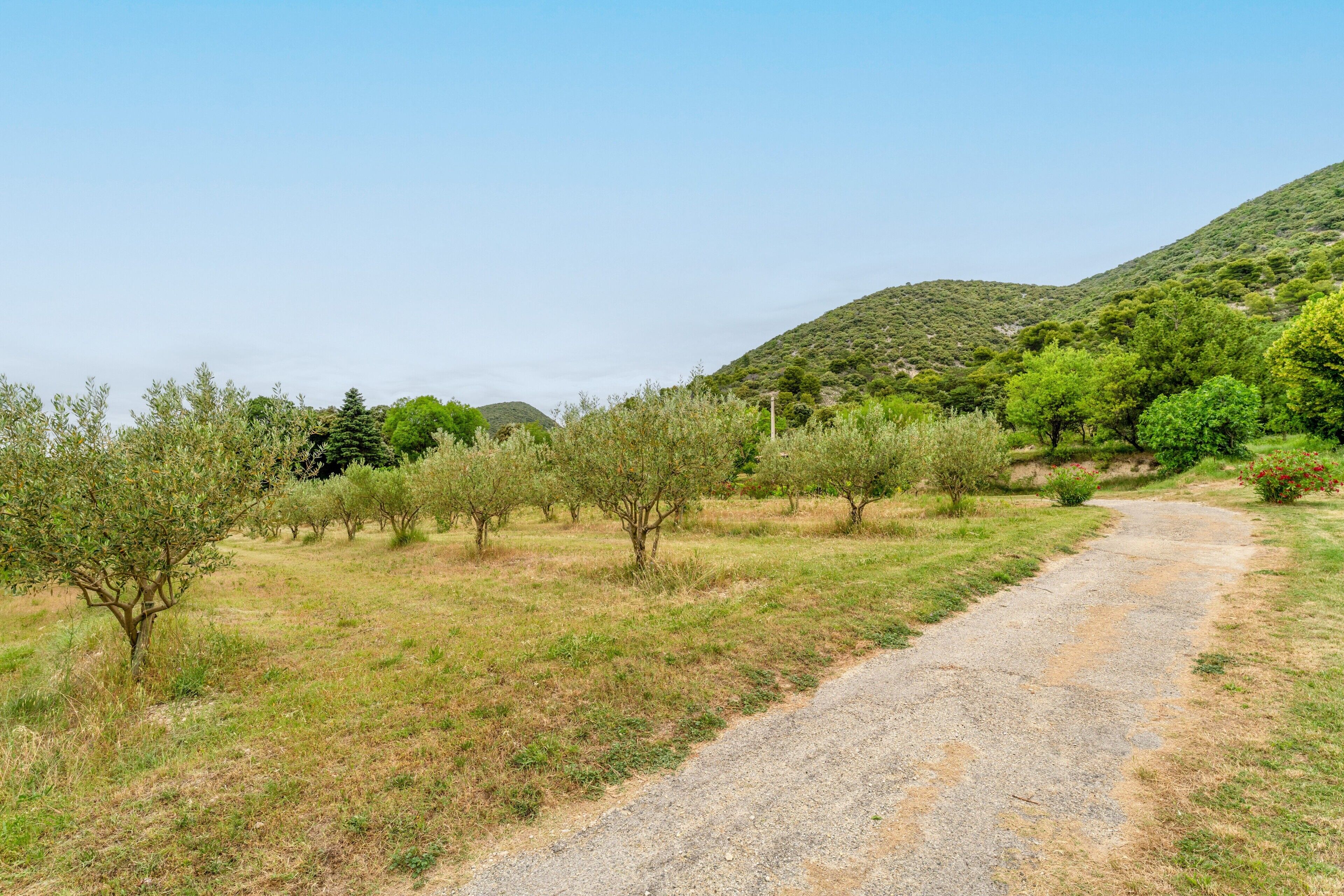 A gravel path leading through a rural landscape with trees and hills in the background.