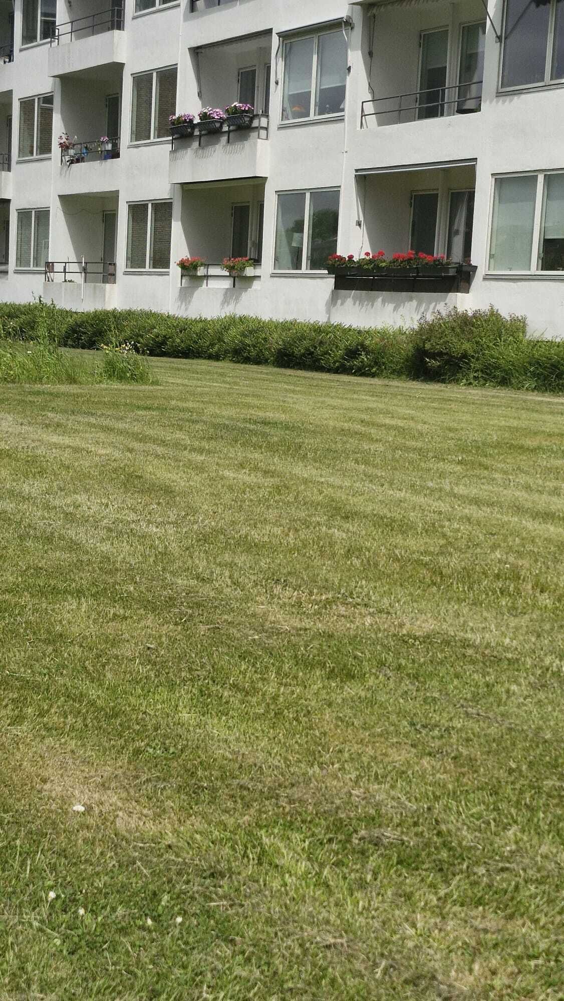 Shared Dormitory, 1 Bedroom, Smoking | View from property