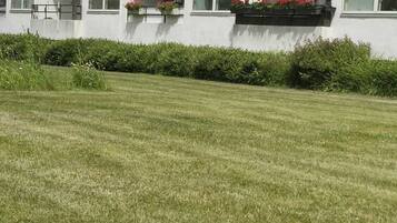 Asrama Umum, 1 kamar tidur, Boleh Merokok | Pemandangan dari properti