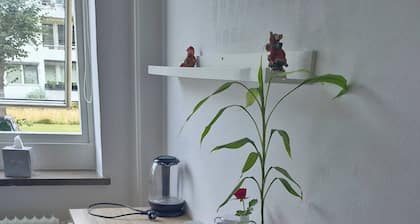 Room-single Bed, Private Room With Bear